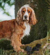 Load image into Gallery viewer, Burns Liver Jerky 100g