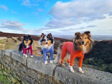 Load image into Gallery viewer, Hotterdog summer suits