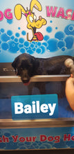 Load image into Gallery viewer, DIY DOG WASH