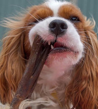 Load image into Gallery viewer, Anco Naturals Rabbit Hide Roll Hypoallergenic low fat chew