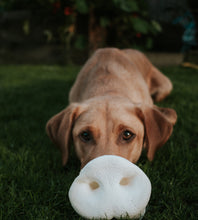 Load image into Gallery viewer, Anco Naturals  Puffed Pig Snouts