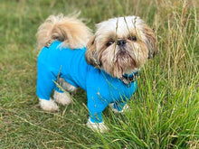 Load image into Gallery viewer, Hotterdog summer suits