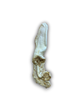 Load image into Gallery viewer, Anco Naturals Puffed Rabbit Ear