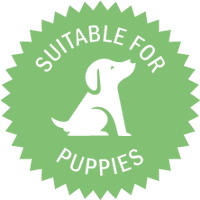 Anco Naturals Mint Braid