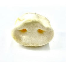 Load image into Gallery viewer, Anco Naturals  Puffed Pig Snouts