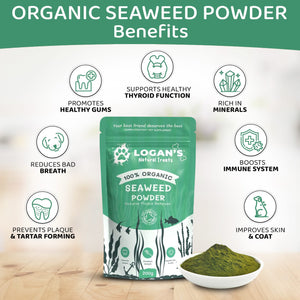 Logan’s Organic Pumpkin Powder – Natural Digestive Support for Dogs
