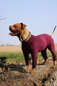 Hotterdog summer suits