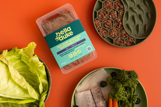 Bella and Duke RAW dog food