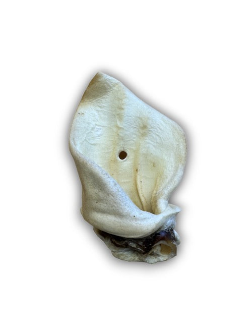 Anco Naturals Meaty Cow  Ear