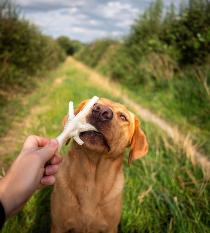 Anco Naturals puffed chicken feet
