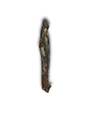 Anco Naturals Tripe Wrapped Bully Tube Chondroitin and Collagen rich hypoallergenic chew