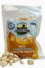 Load image into Gallery viewer, FREEZE DRIED TREATS