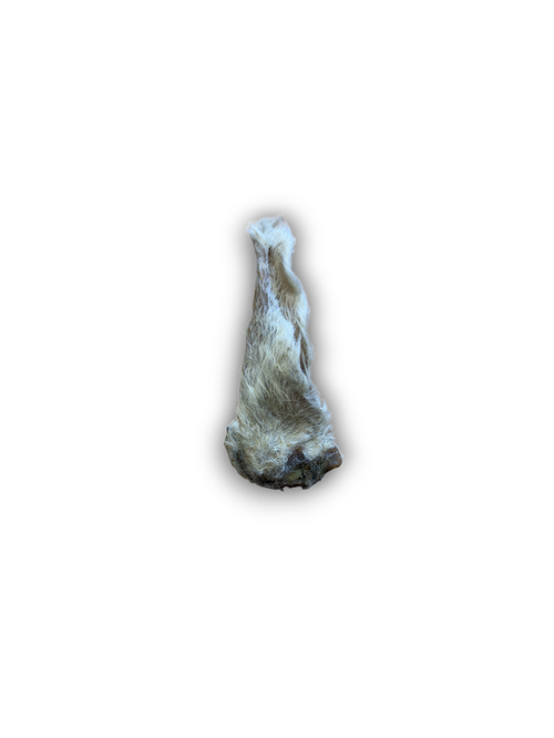 Anco Natural Hairy Lamb Ear