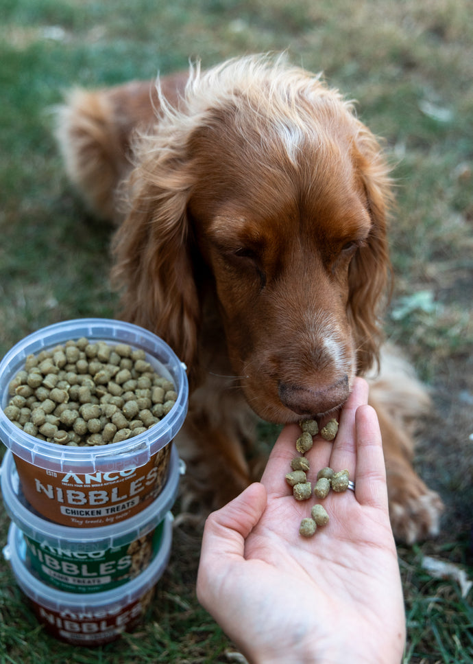 ANCO NIBBLES TREATS 300G