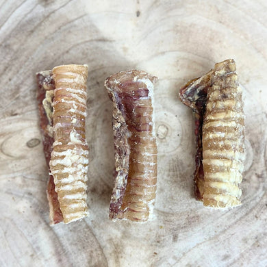 Trachea  Beef 12cm