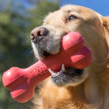 Load image into Gallery viewer, KONG Goodie Bone Large (21.5cm) Red