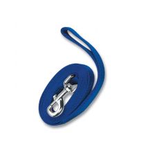 ANCOL nylon training lead black. 2.5cm x 1.8m