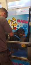 Load image into Gallery viewer, DIY DOG WASH