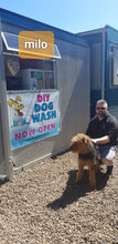 Load image into Gallery viewer, DIY DOG WASH