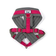 Load image into Gallery viewer, ANCOL Padded Harness