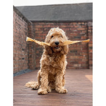 Load image into Gallery viewer, Anco Naturals Giant Buffalo Stick