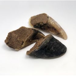 T Forrest & sons meat filled Hoove single