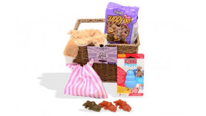 Puppy Gift Box Deluxe