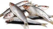 Load image into Gallery viewer, Just Natural frozen Sprats 1kg bags
