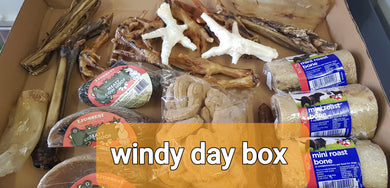 Windy Day Box